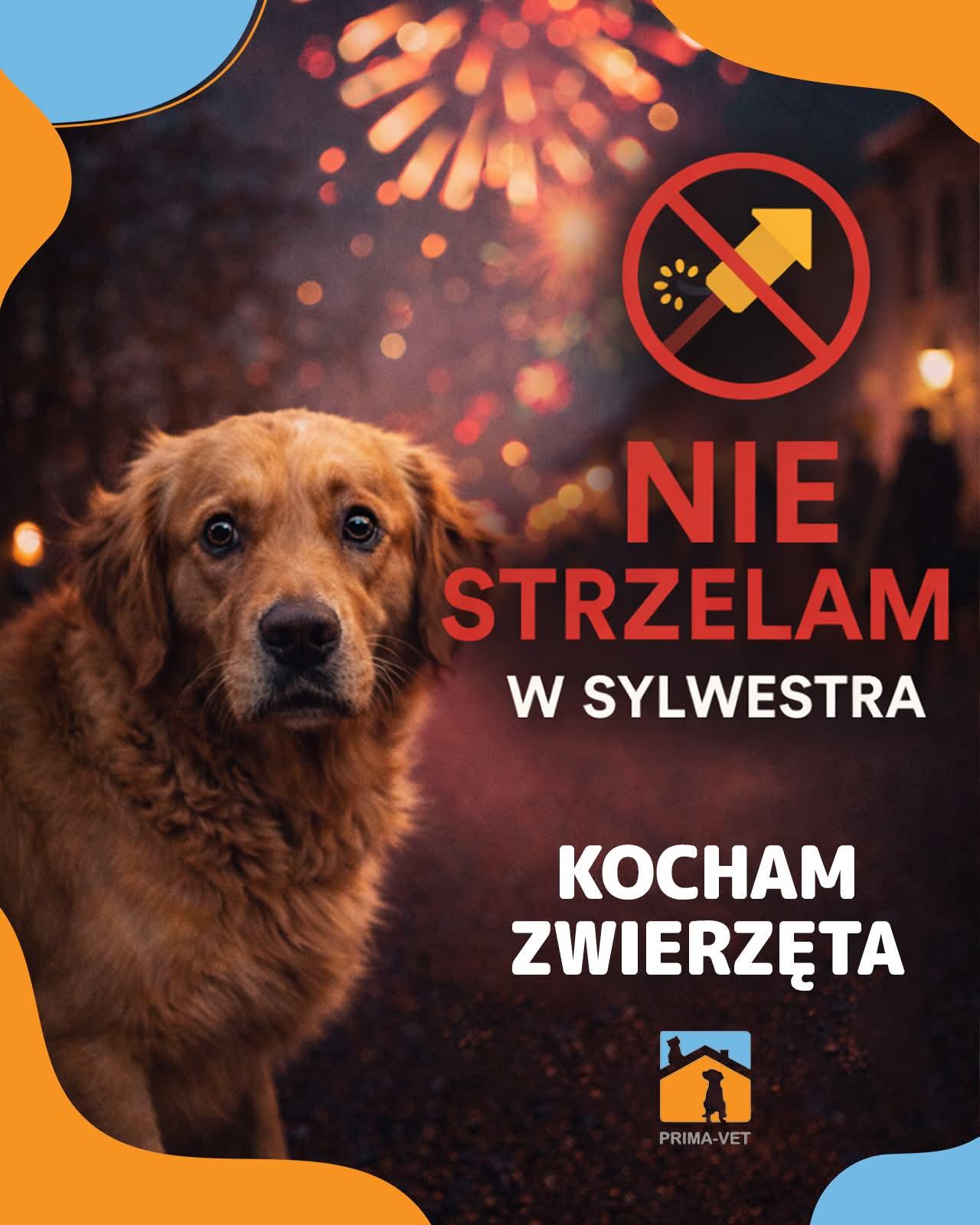 Zdjęcie do wpisu: Popieram nie strzelanie z fajerwerków!